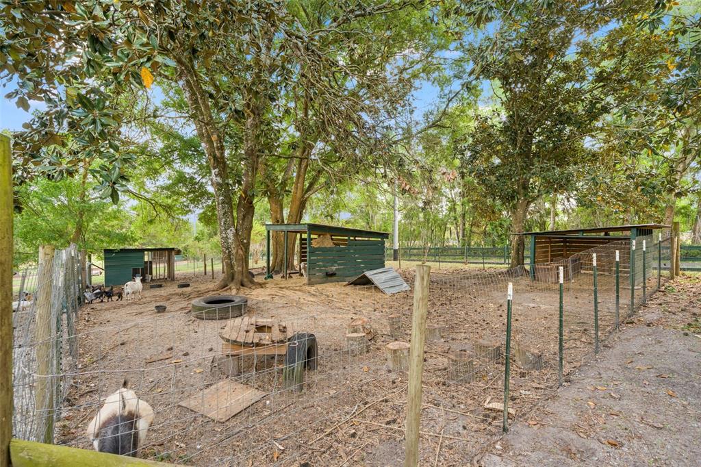 23125 Jacobson Road Brooksville, FL 34601 - Photo 53 of 69