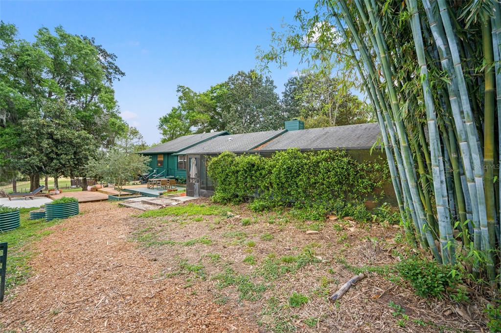 23125 Jacobson Road Brooksville, FL 34601 - Photo 55 of 69