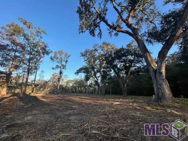 14287 Old River Road Maurepas, LA 70449 - Photo 8 of 14