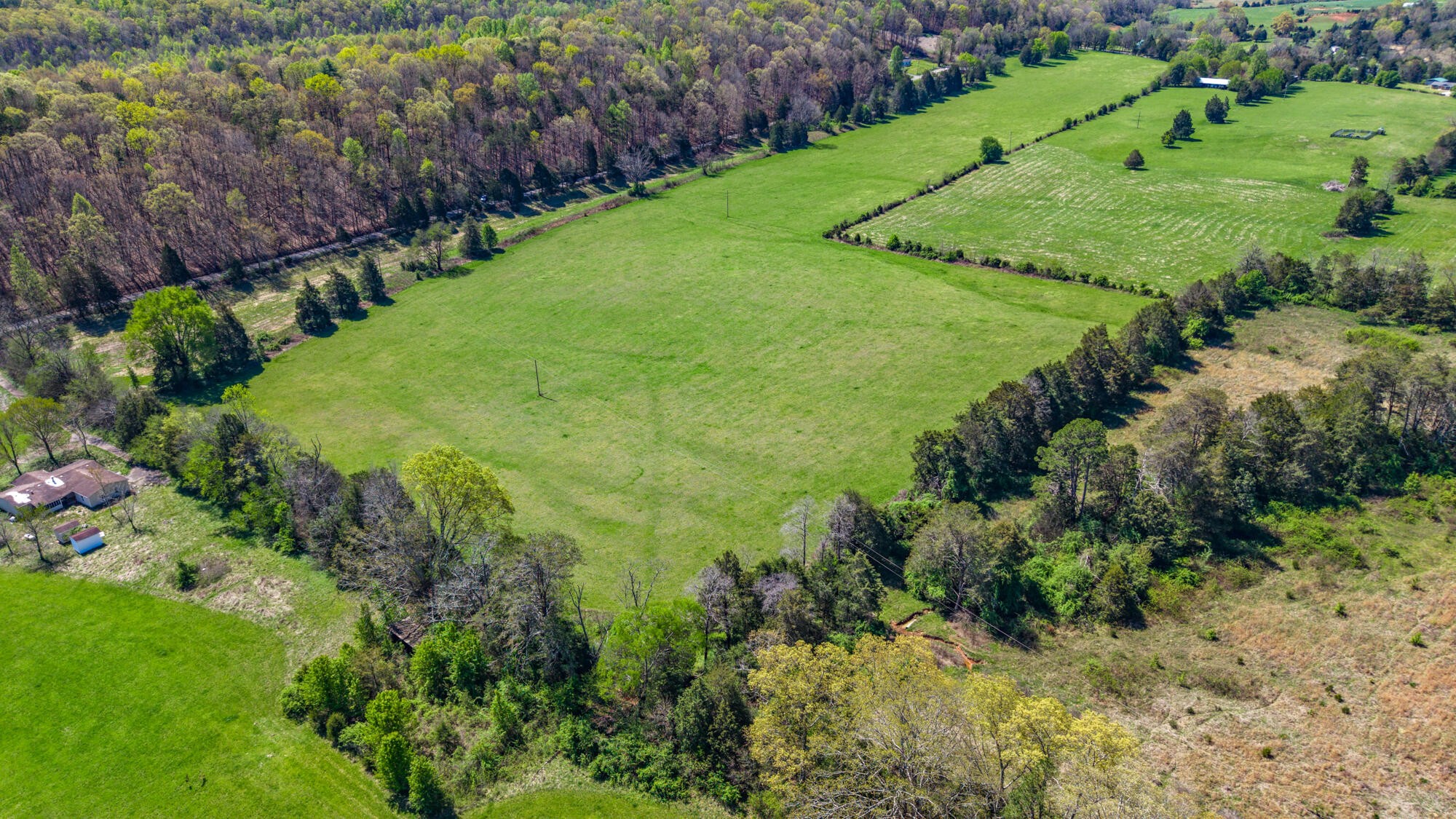0 Dogtown Road Ten Mile, TN 37880 - Photo 2 of 9
