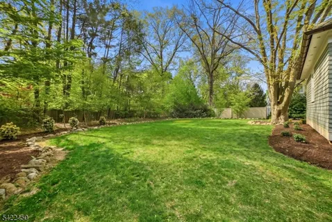 a view of backyard with green space