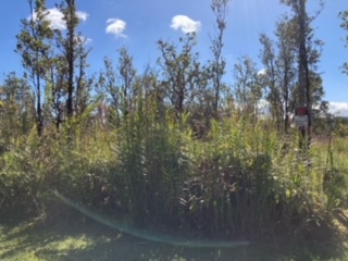 21 Laupaka Road Mountain View, HI 96771 - Photo 11 of 18 a view of a city street from a building