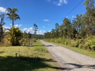 21 Laupaka Road Mountain View, HI 96771 - Photo 16 of 18 a view of a yard