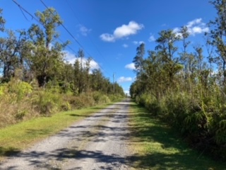 21 Laupaka Road Mountain View, HI 96771 - Photo 17 of 18 a view of a yard with an outdoor space