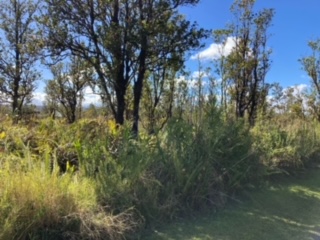 21 Laupaka Road Mountain View, HI 96771 - Photo 9 of 18 a view of a lake with a tree