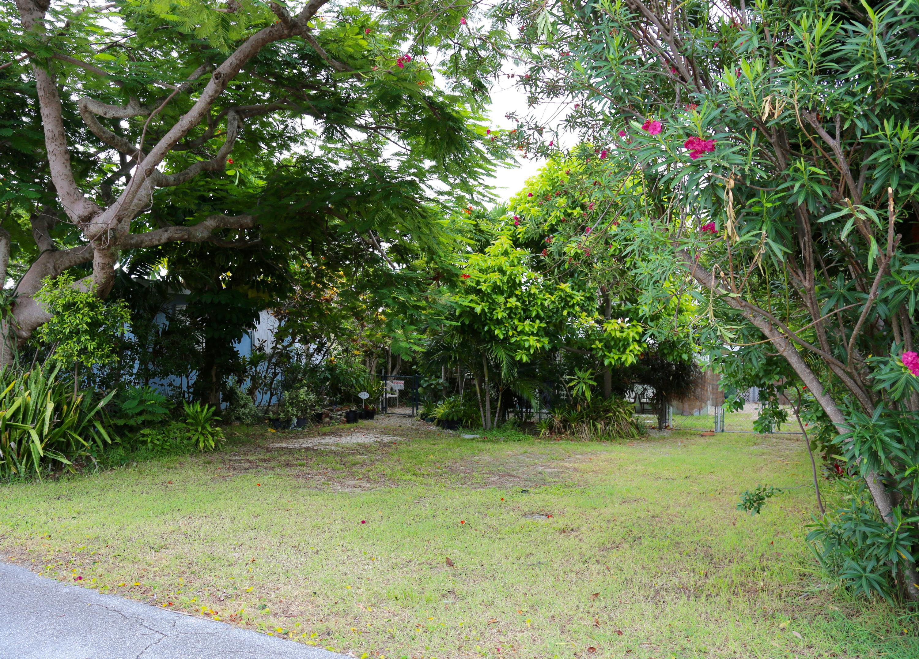 56 Buttonwood Drive Key Largo, FL 33037 - Photo 17 of 21 Backyard