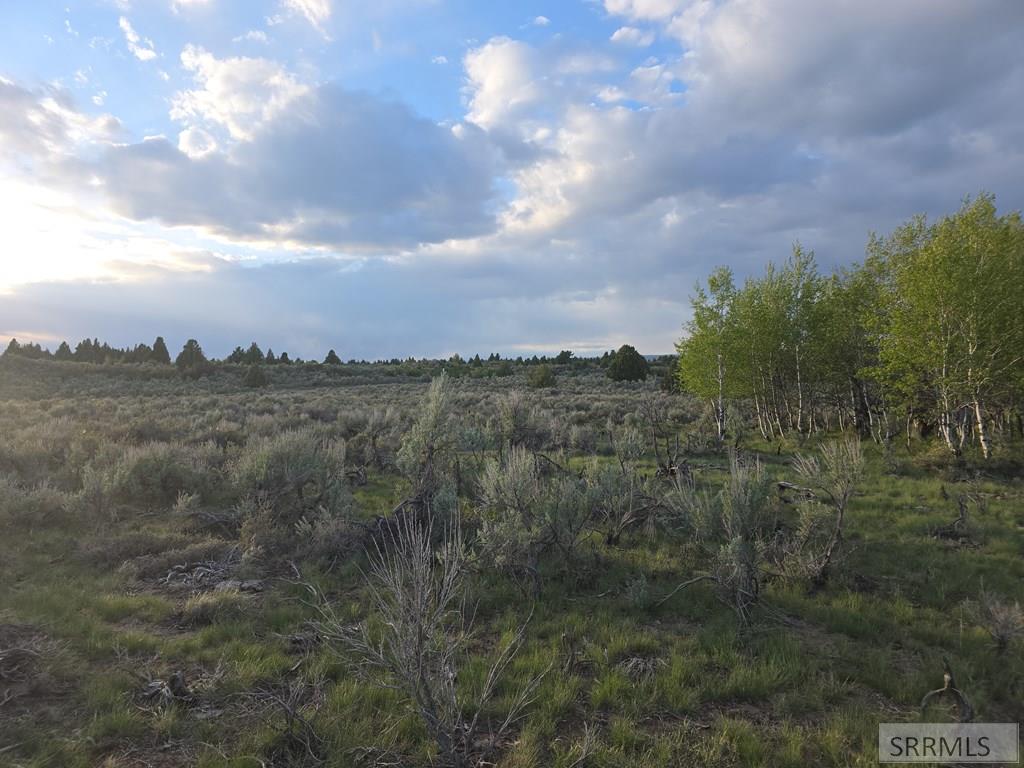 Tbd 40-ac Tbd 40-ac Arcadia Road Ashton, ID 83420 - Photo 28 of 43