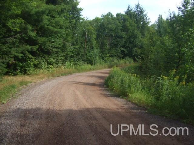 Tbd Island Lake Road, Unit 19 & 20 Hurley, WI 54534 - Photo 8 of 8