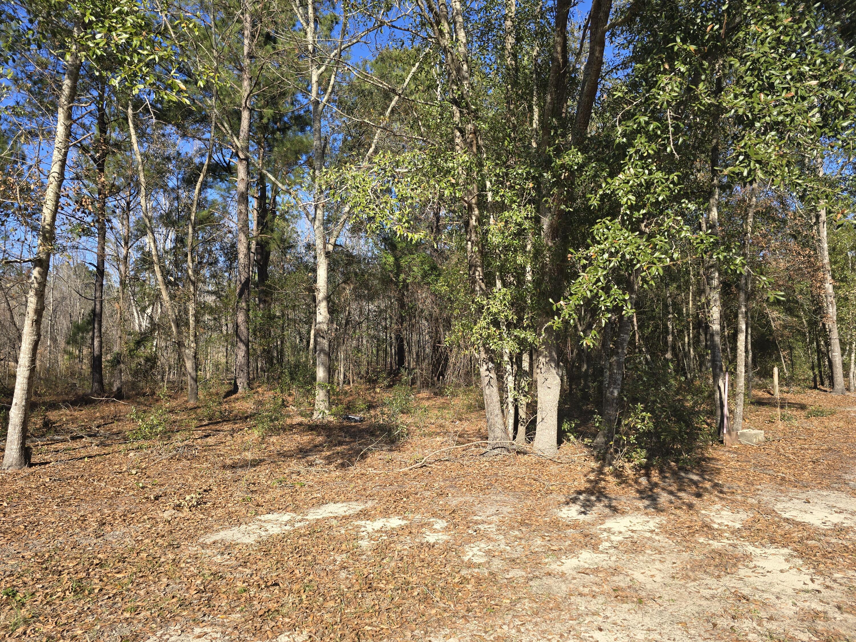 882 Quail Road Barnwell, SC 29812 - Photo 5 of 7 Gallery Image 5