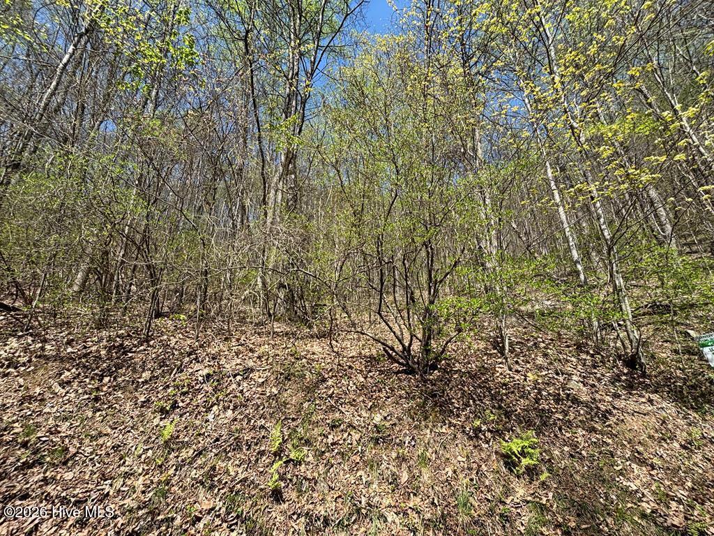 Lot 4 Outlook Road Murphy, NC 28906 - Photo 8 of 10