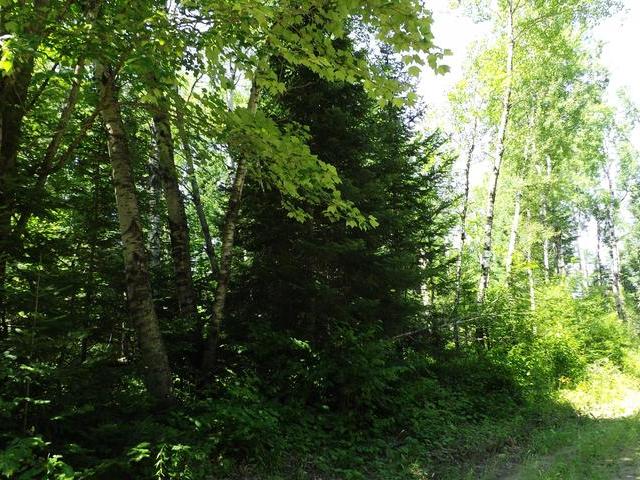 9687 Shaddock Road Argonne, WI 54511 - Photo 5 of 6 Gallery Image 5