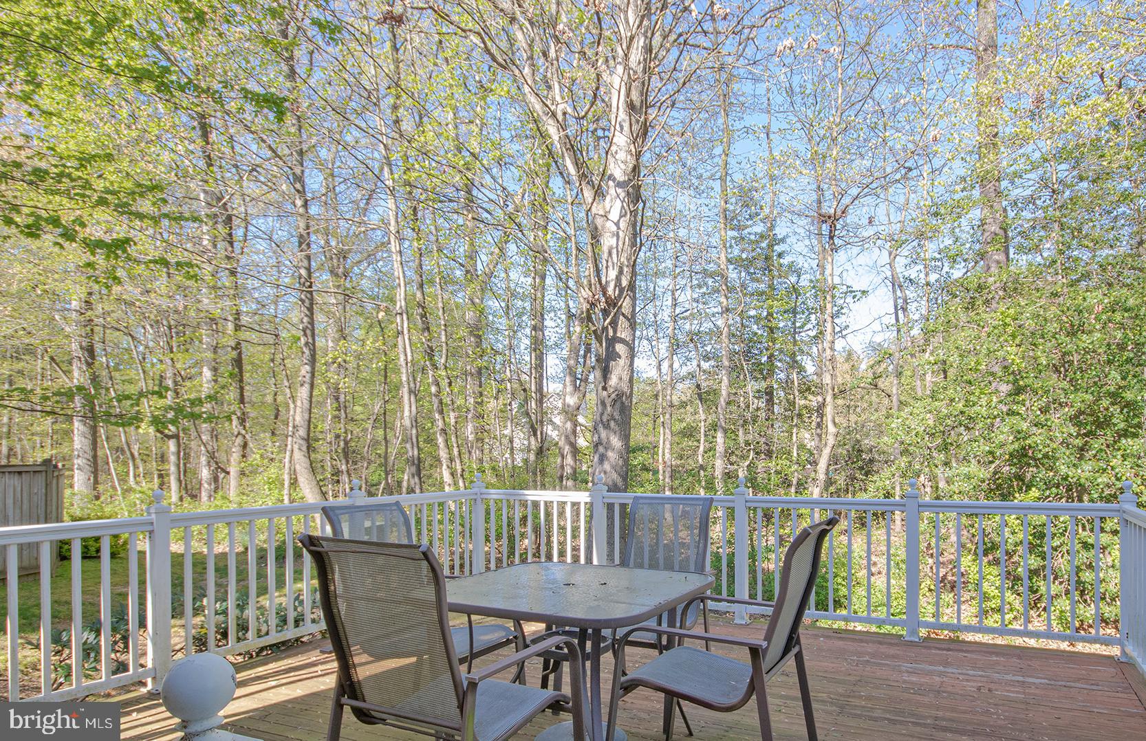 1301 Vintage Place Reston, VA 20194 - Photo 34 of 40