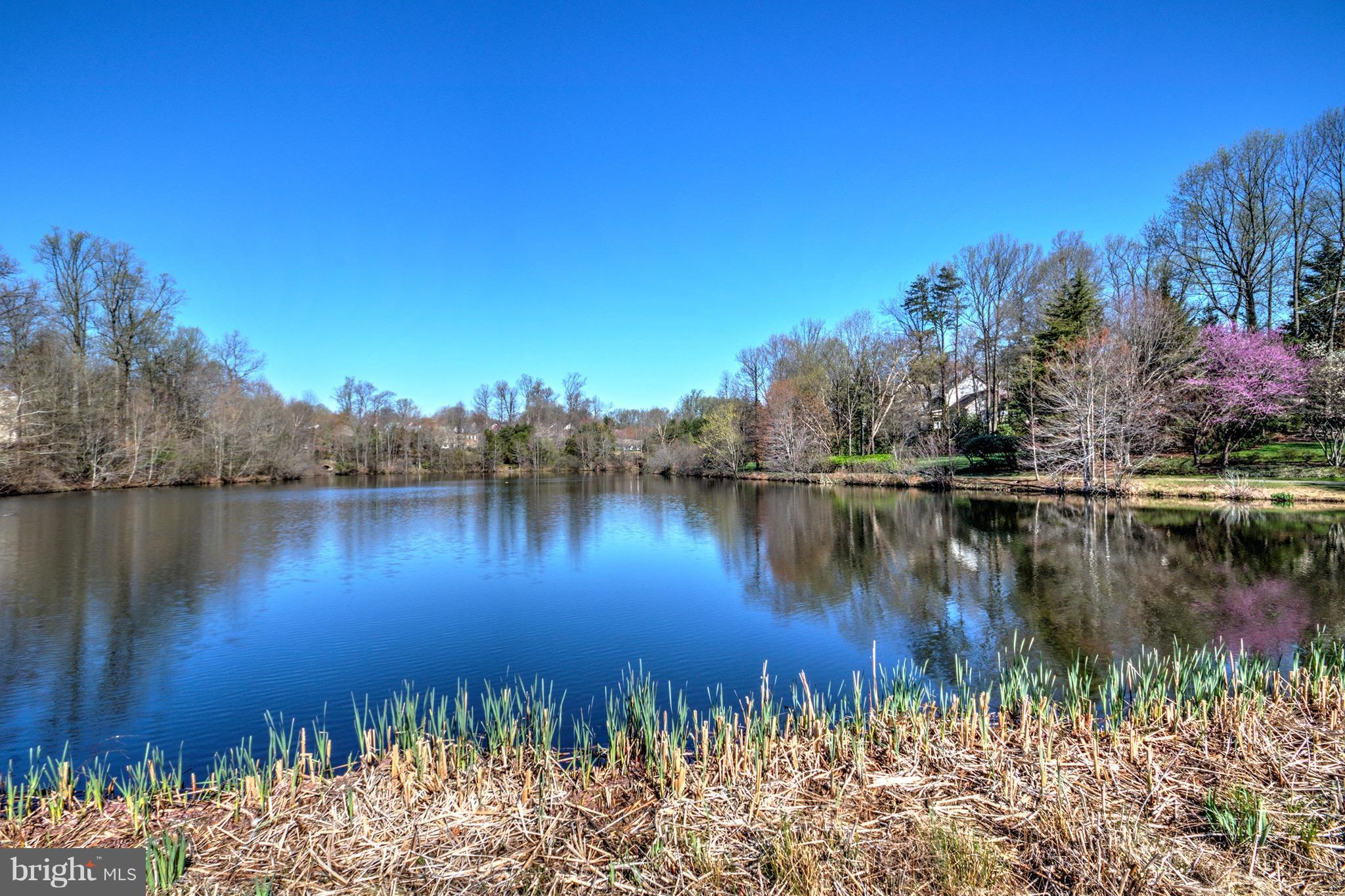 1301 Vintage Place Reston, VA 20194 - Photo 38 of 40 Nearby lake