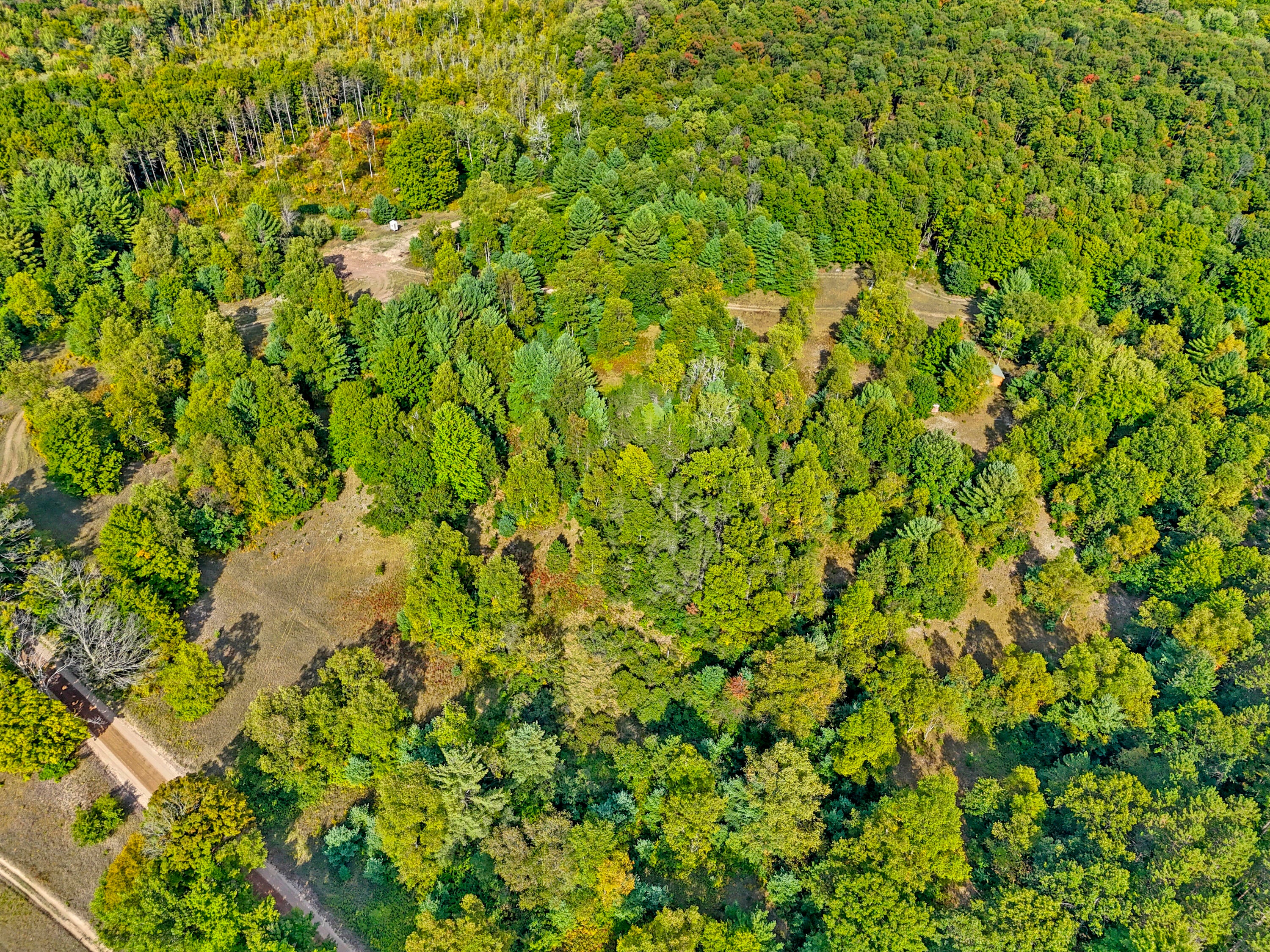 1464 North Raymond Road Luther, MI 49656 - Photo 26 of 31 DJI_20250910045604_0490_D