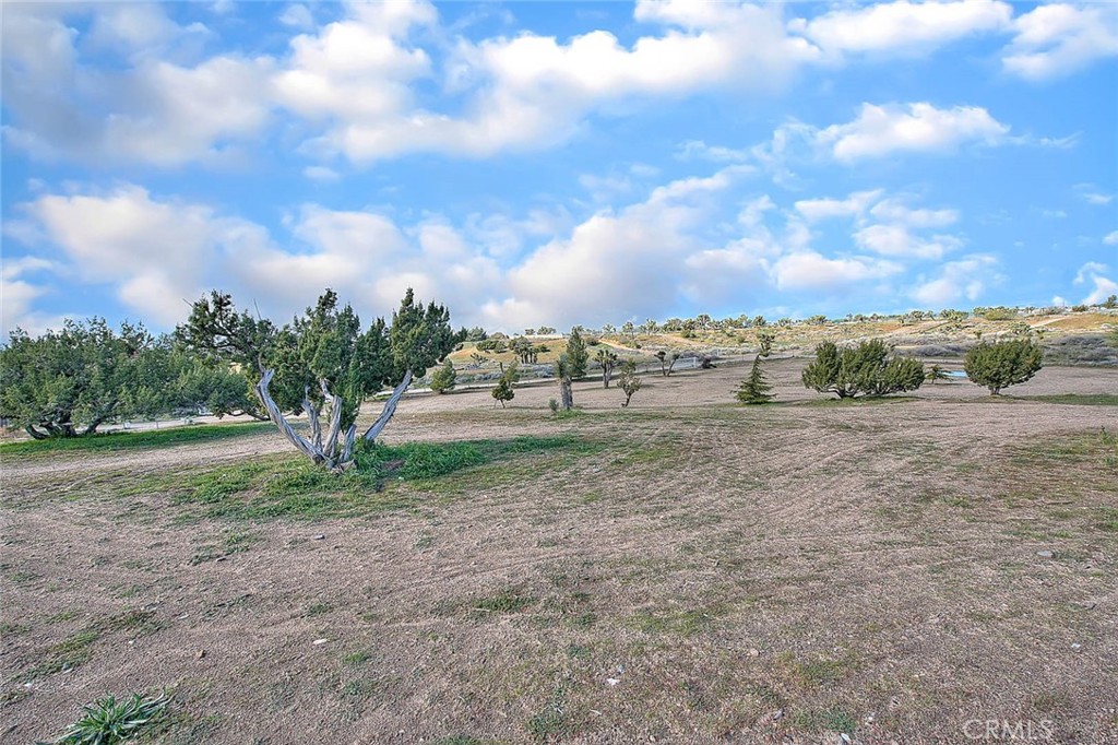 8529 Nielson Road Phelan, CA 92371 - Photo 44 of 44 a view of dirt field with large trees