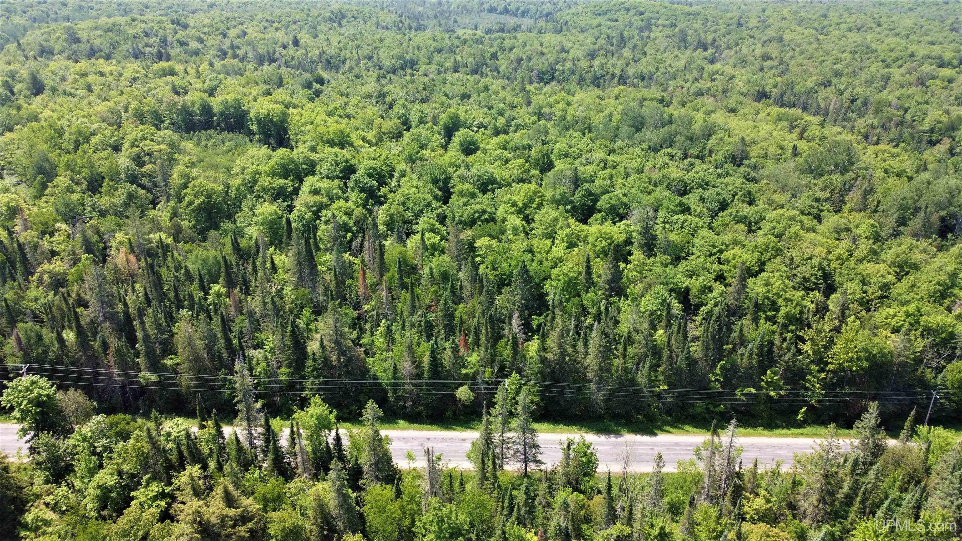 On West Shingleton Road Shingleton, MI 49884 - Photo 3 of 20