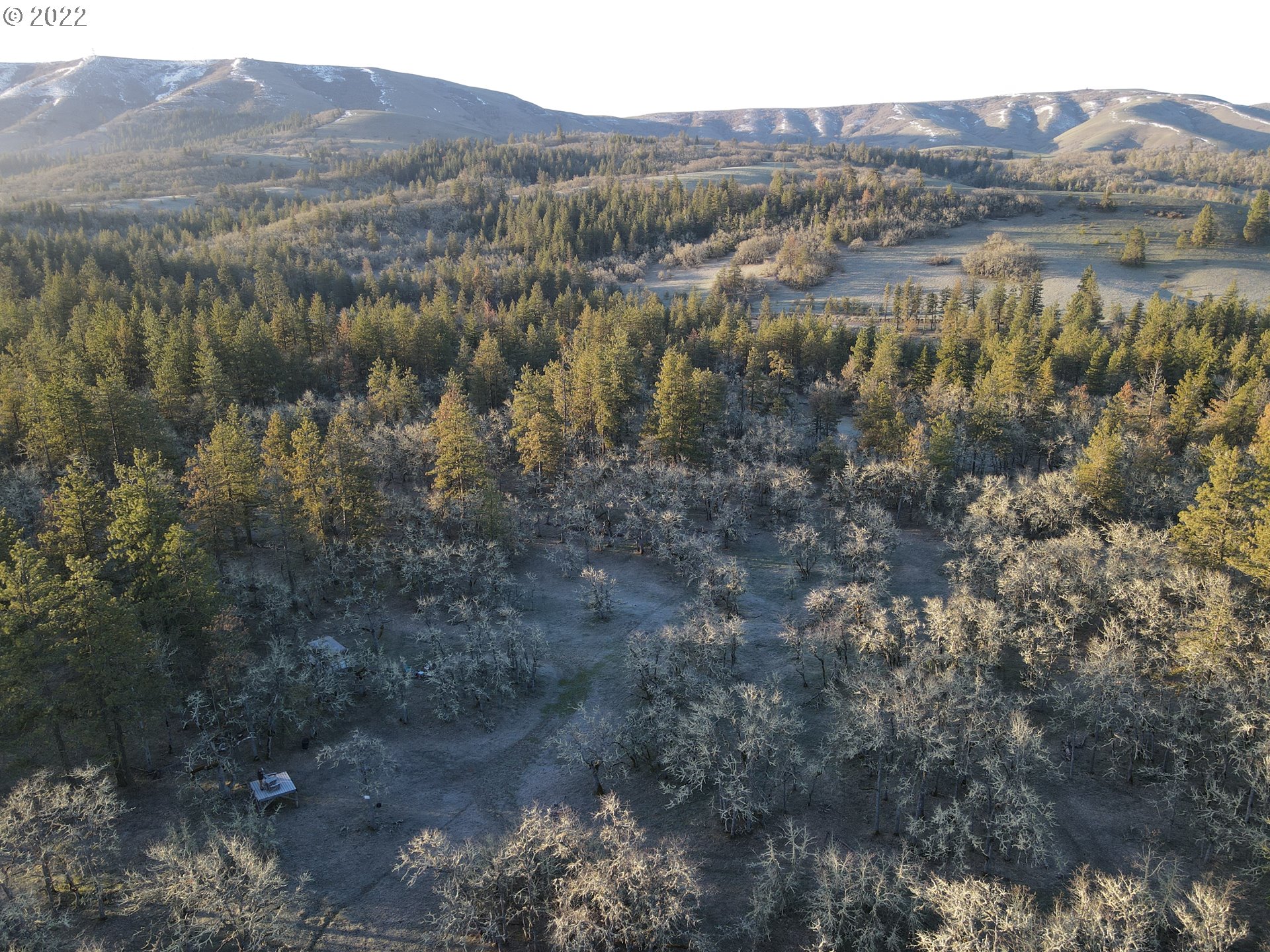 1 Mott Road Lyle, WA 98635 - Photo 4 of 14 Gallery Image 4