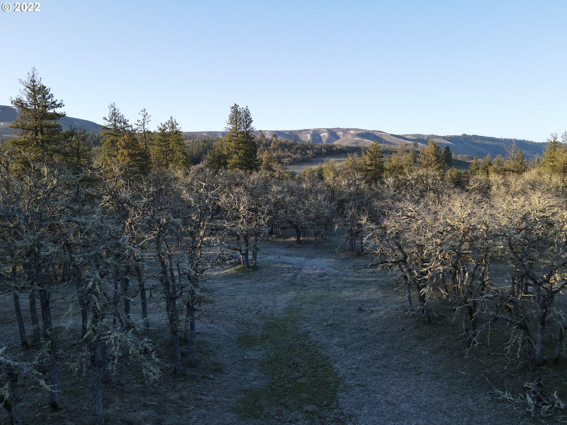1 Mott Road Lyle, WA 98635 - Photo 5 of 14 Gallery Image 5