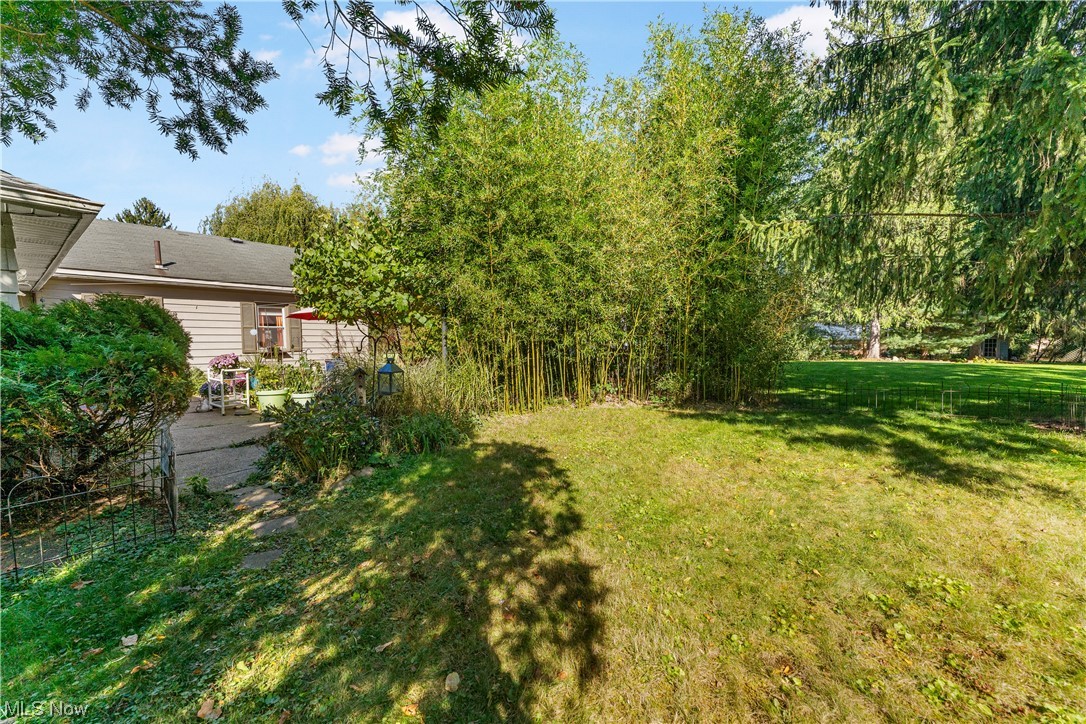2893 Kent Road Silver Lake, OH 44224 - Photo 32 of 33 View of yard