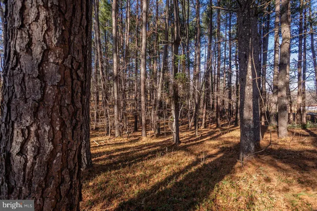 $525,000 | 79 Gunn Lane, Woodstock, VA 22664