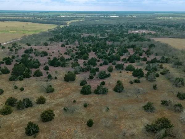 a view of a dry yard with trees