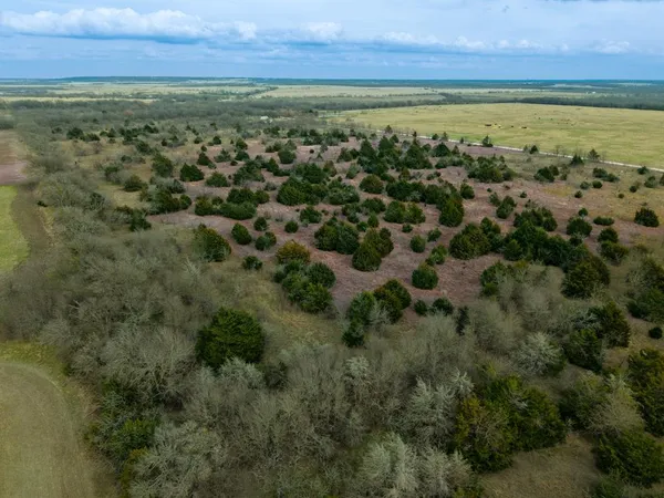 an aerial view of residential houses with outdoor space and trees