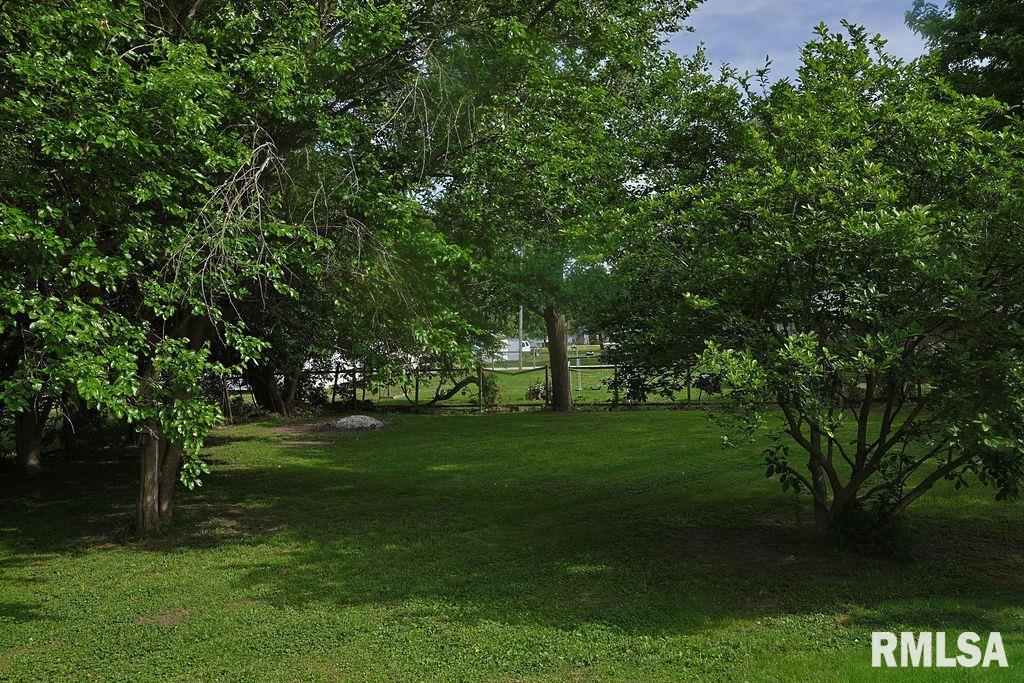 540 East Main Street Prairie City, IL 61470 - Photo 48 of 51