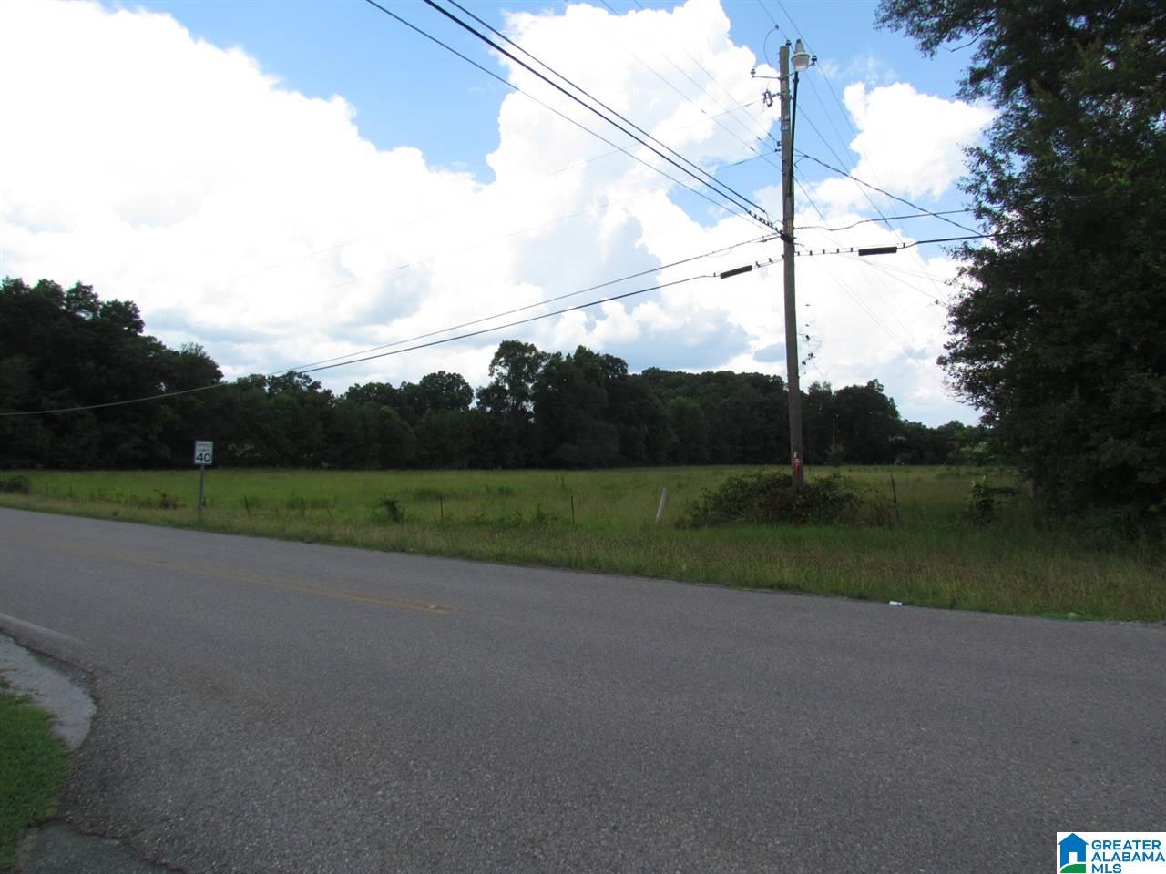 0 Gnatville Road Piedmont, AL 36272 - Photo 4 of 4