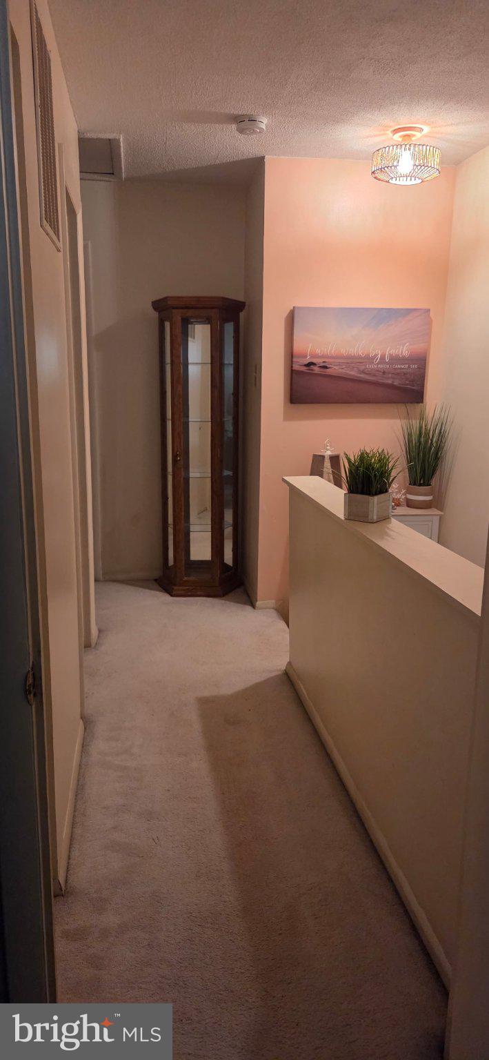 102 Jason's Ridge Smithsburg, MD 21783 - Photo 20 of 31 Inviting hallway with warm accents.