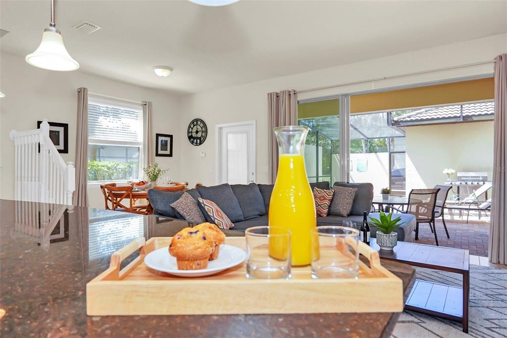 2070 Rome Drive Kissimmee, FL 34747 - Photo 13 of 57 a living room with furniture flowerpot and window