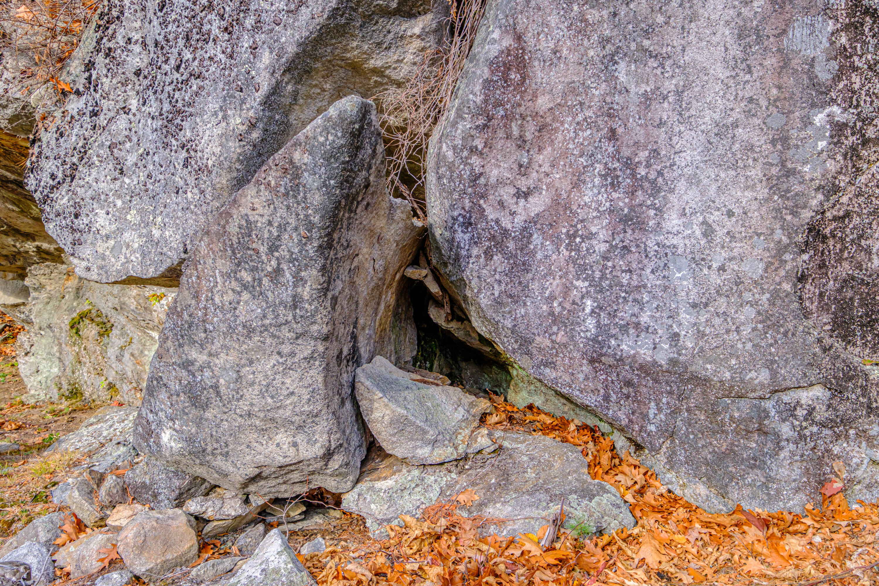 304 Dunn Road Norway, ME 04268 - Photo 112 of 121 20251103gp-61109