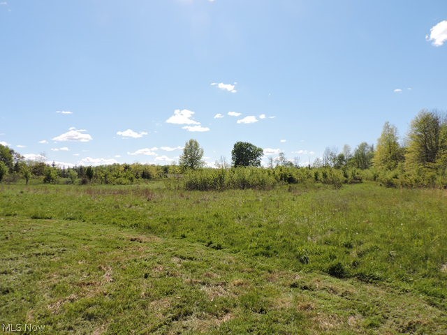 7460 Ridge Road Wadsworth, OH 44281 - Photo 8 of 27