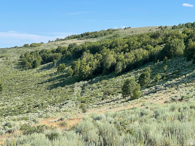 200 Mill Farm Road Montpelier, ID 83254 - Photo 27 of 47 View of nature