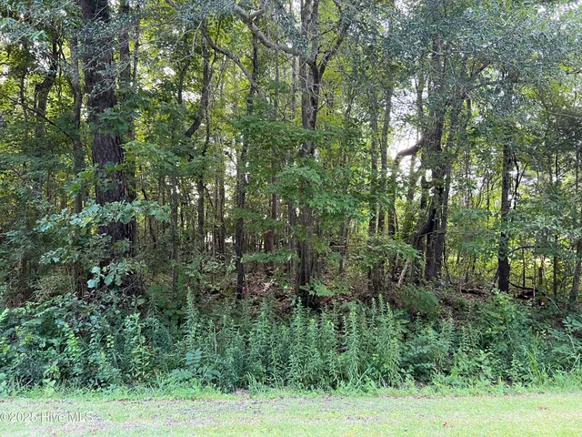 $9,500 | 104 Colony Drive, Edenton, NC 27932