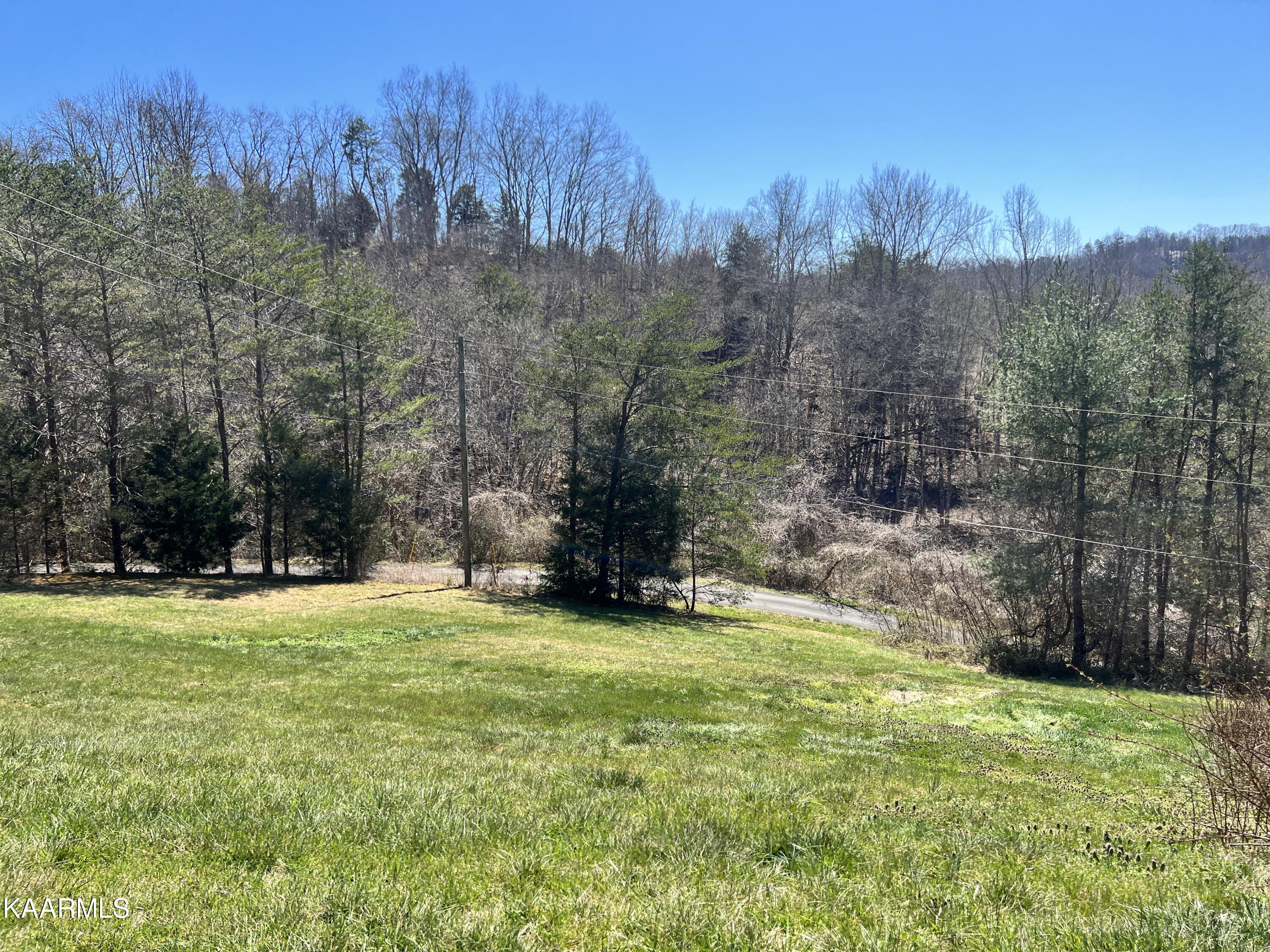 1015 Goose Gap Road Sevierville, TN 37876 - Photo 4 of 12 IMG_1344 2022-03-14 17_43_13