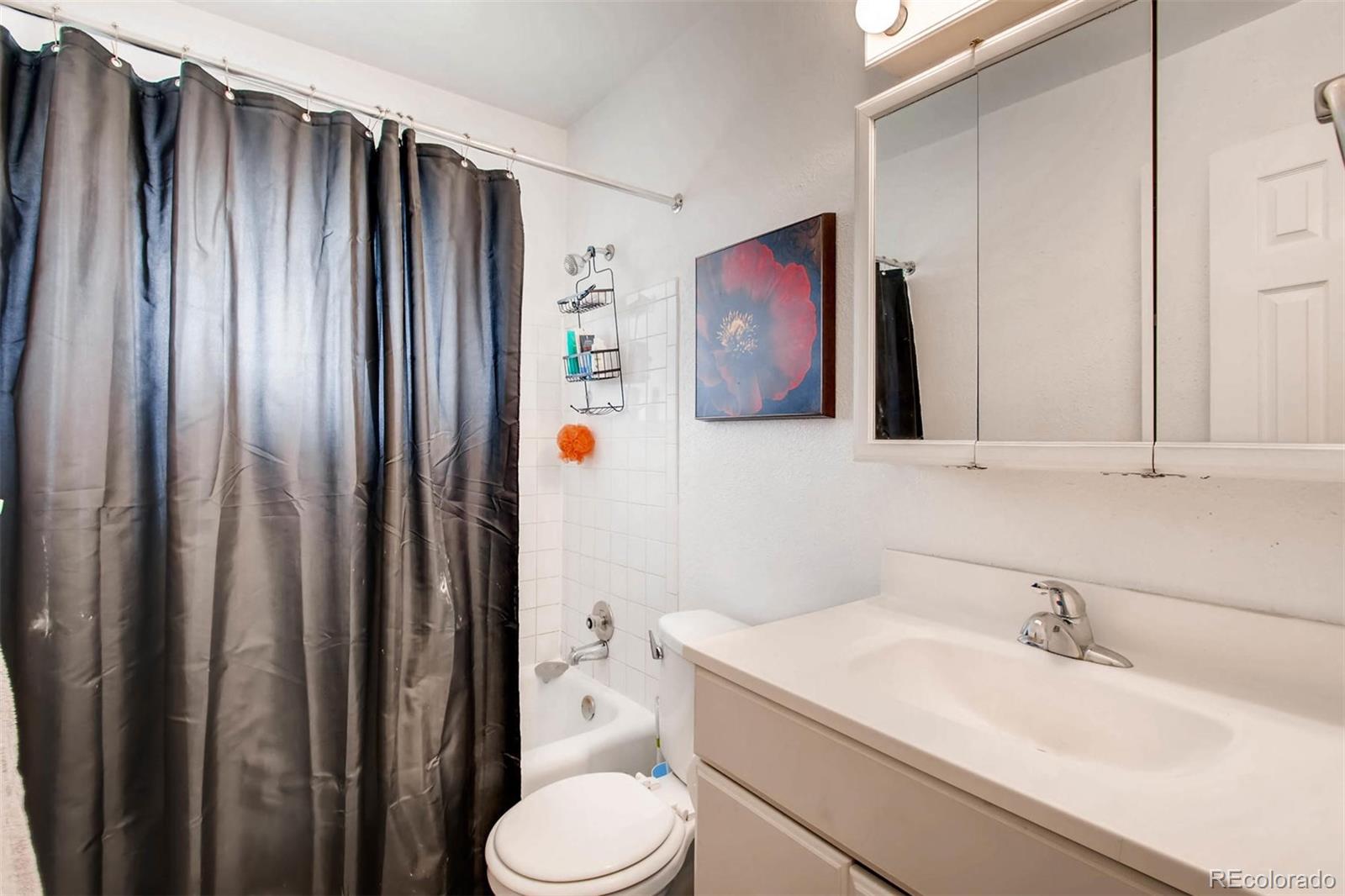 8256 Conifer Road Denver, CO 80221 - Photo 10 of 11 Gallery Image 10