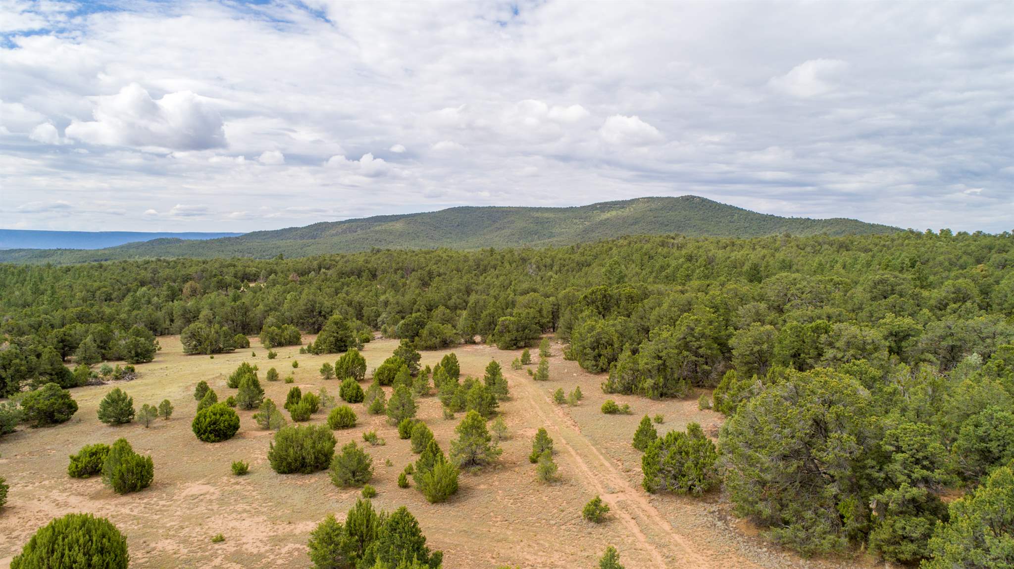 83 Pecos Barillas Road Pecos, NM 87552 - Photo 42 of 54 Gallery Image 42