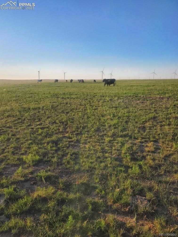 169 County Road Matheson, CO 80830 - Photo 1 of 14 Gallery Image 1