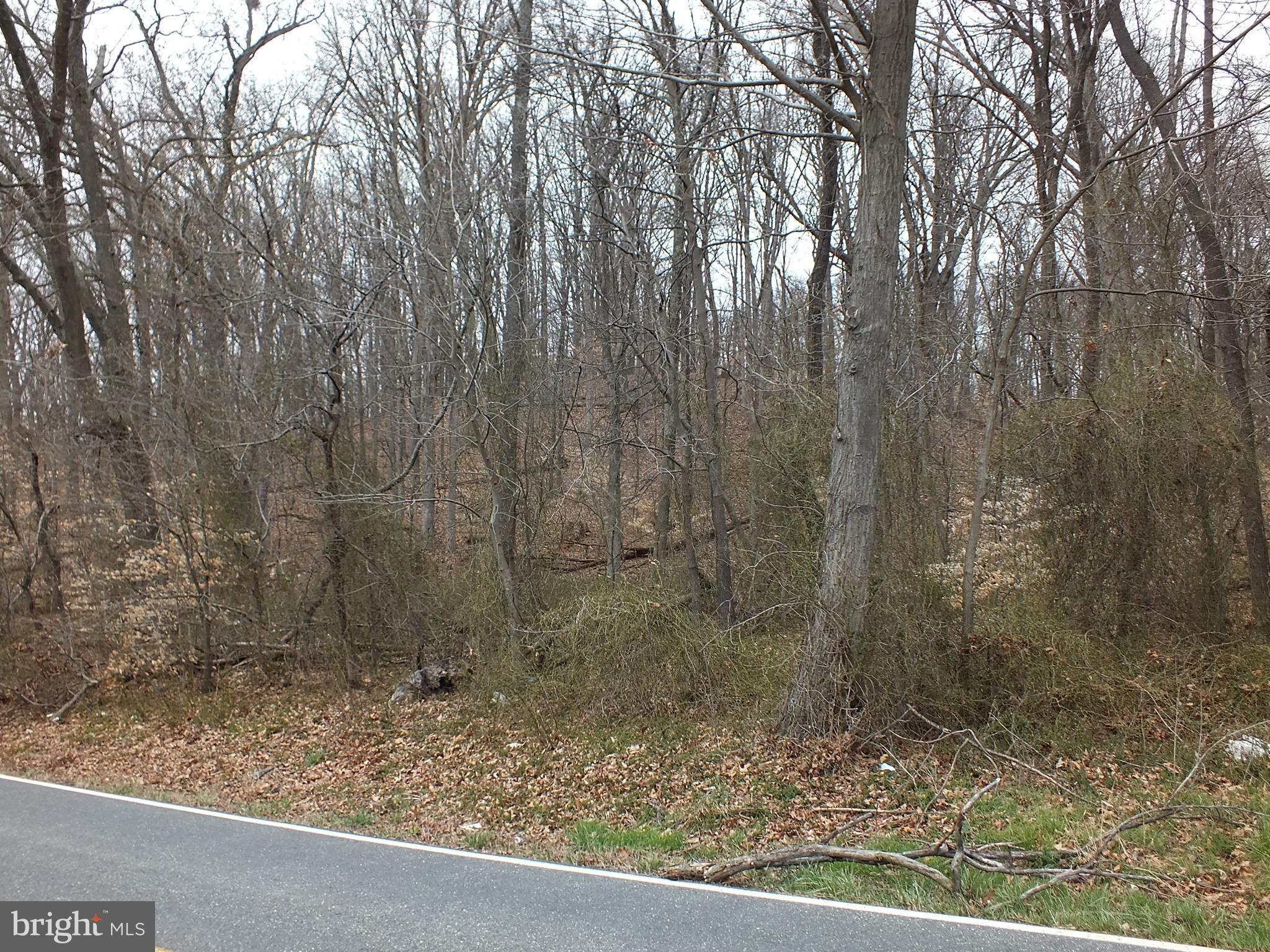 a view of a yard