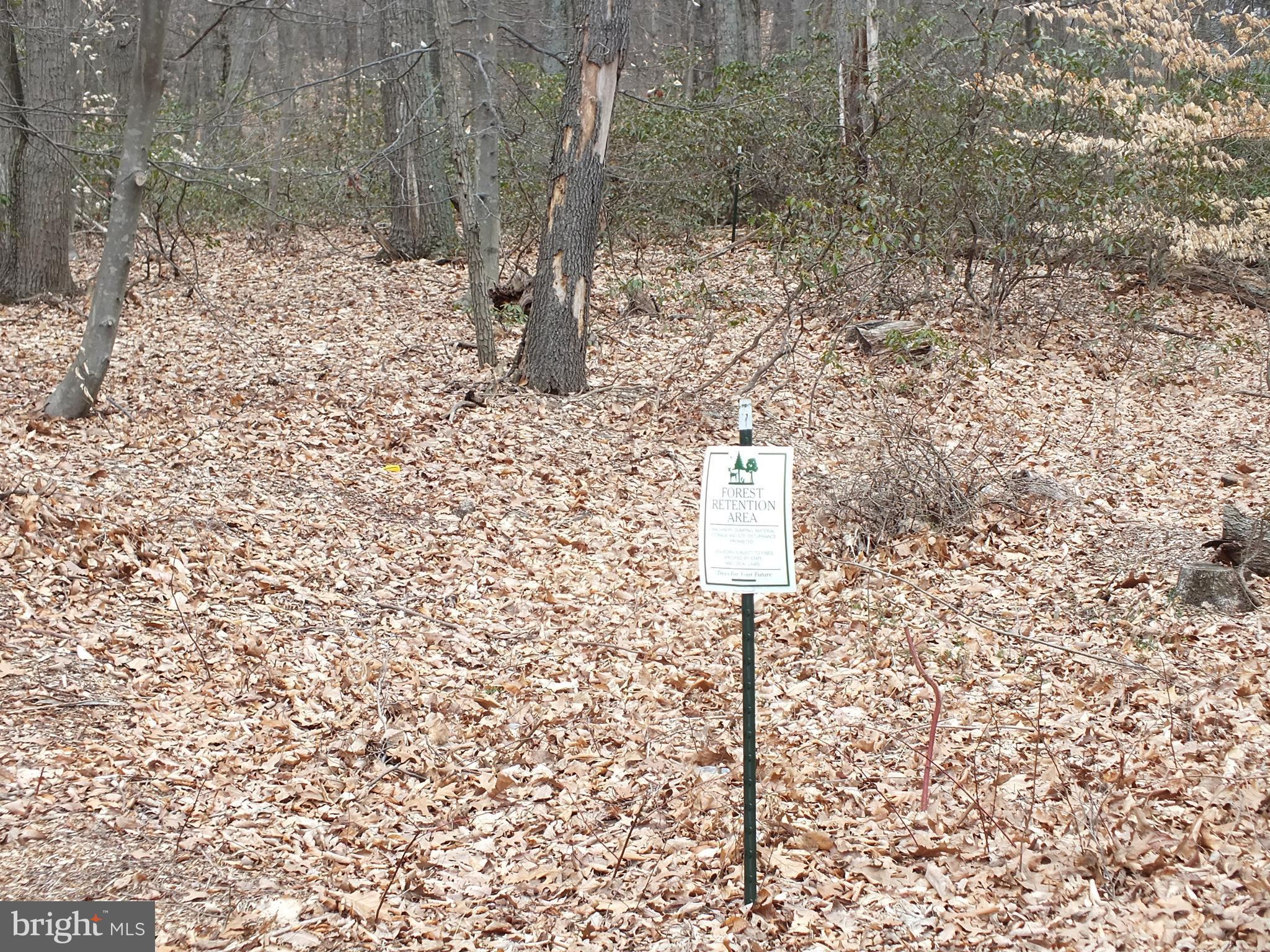 Hill Road Woodsboro, MD 21798 - Photo 12 of 12