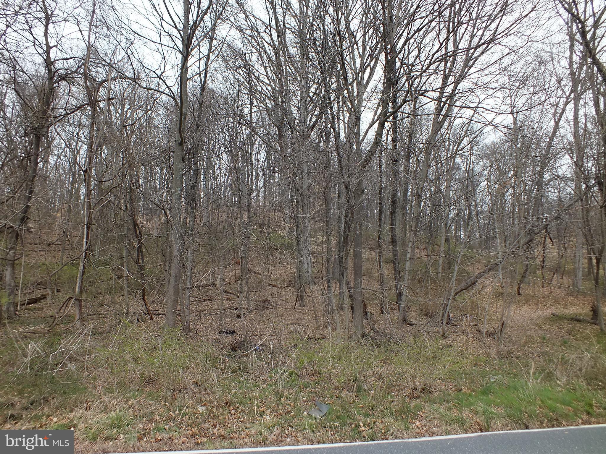 Hill Road Woodsboro, MD 21798 - Photo 5 of 12 a view of a dry yard with trees