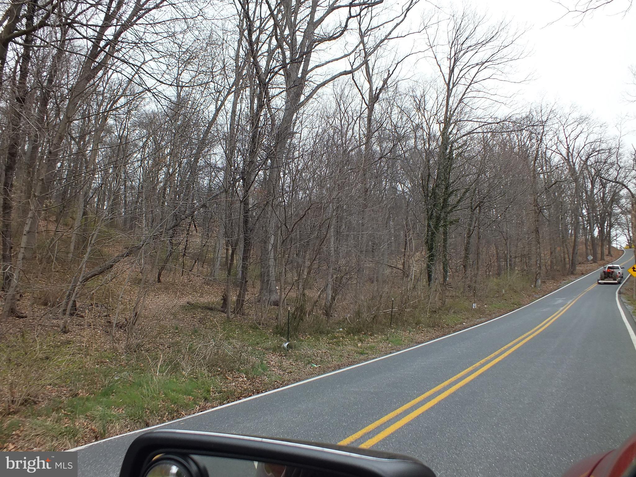 Hill Road Woodsboro, MD 21798 - Photo 6 of 12 a view of a forest from a window