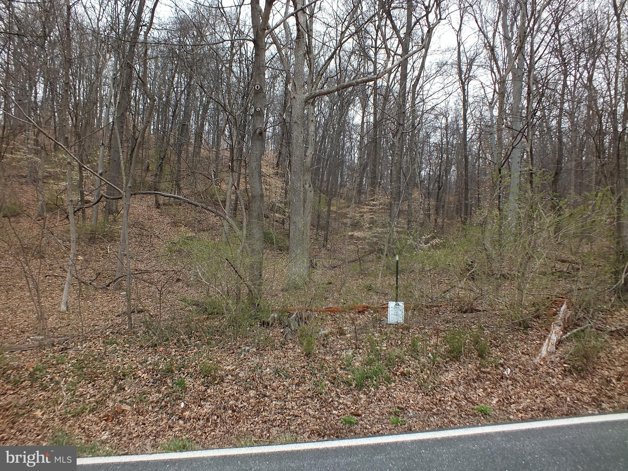 Hill Road Woodsboro, MD 21798 - Photo 7 of 12 a view of a pathway with a yard