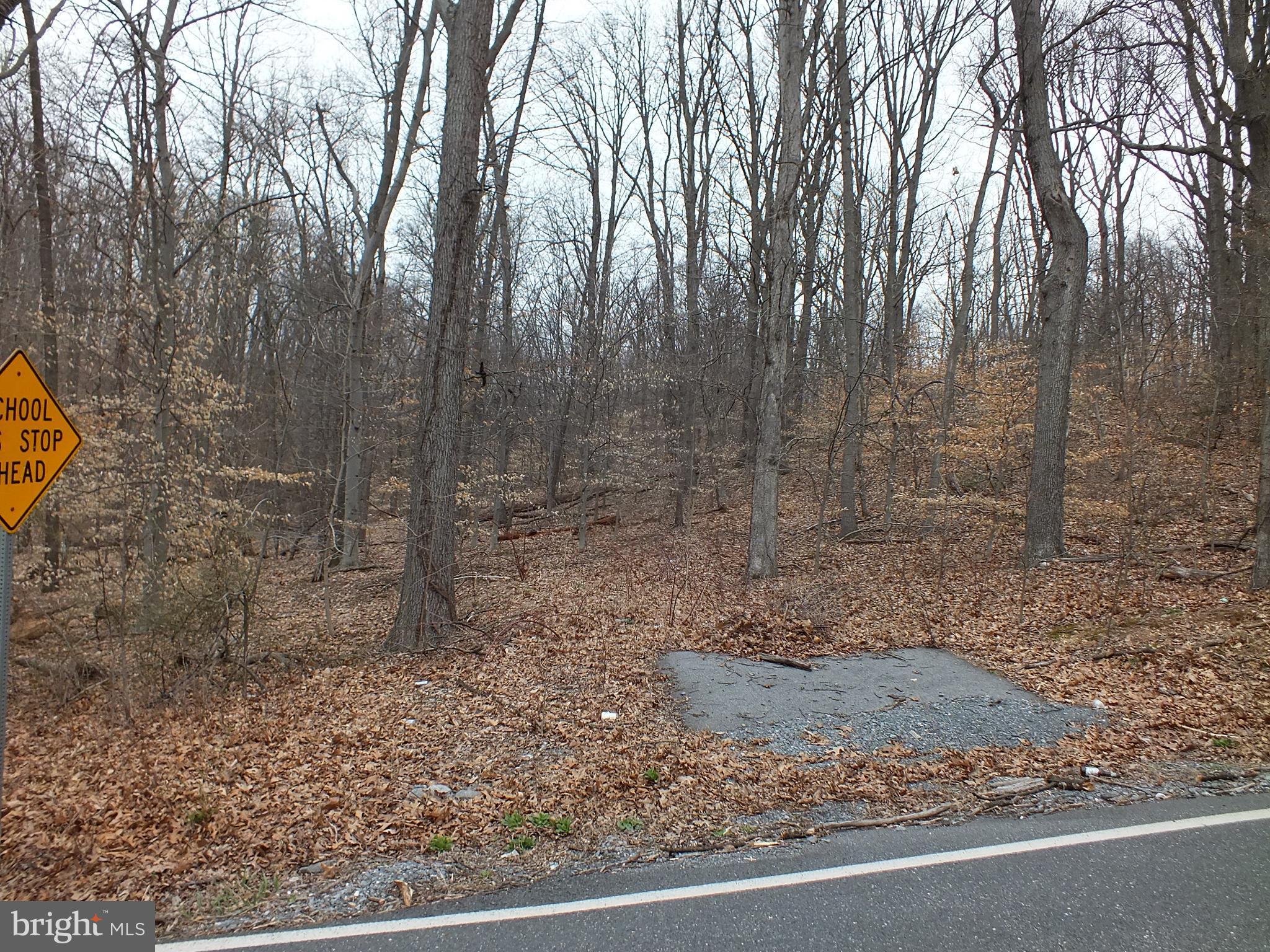 Hill Road Woodsboro, MD 21798 - Photo 9 of 12 a view of a yard with trees