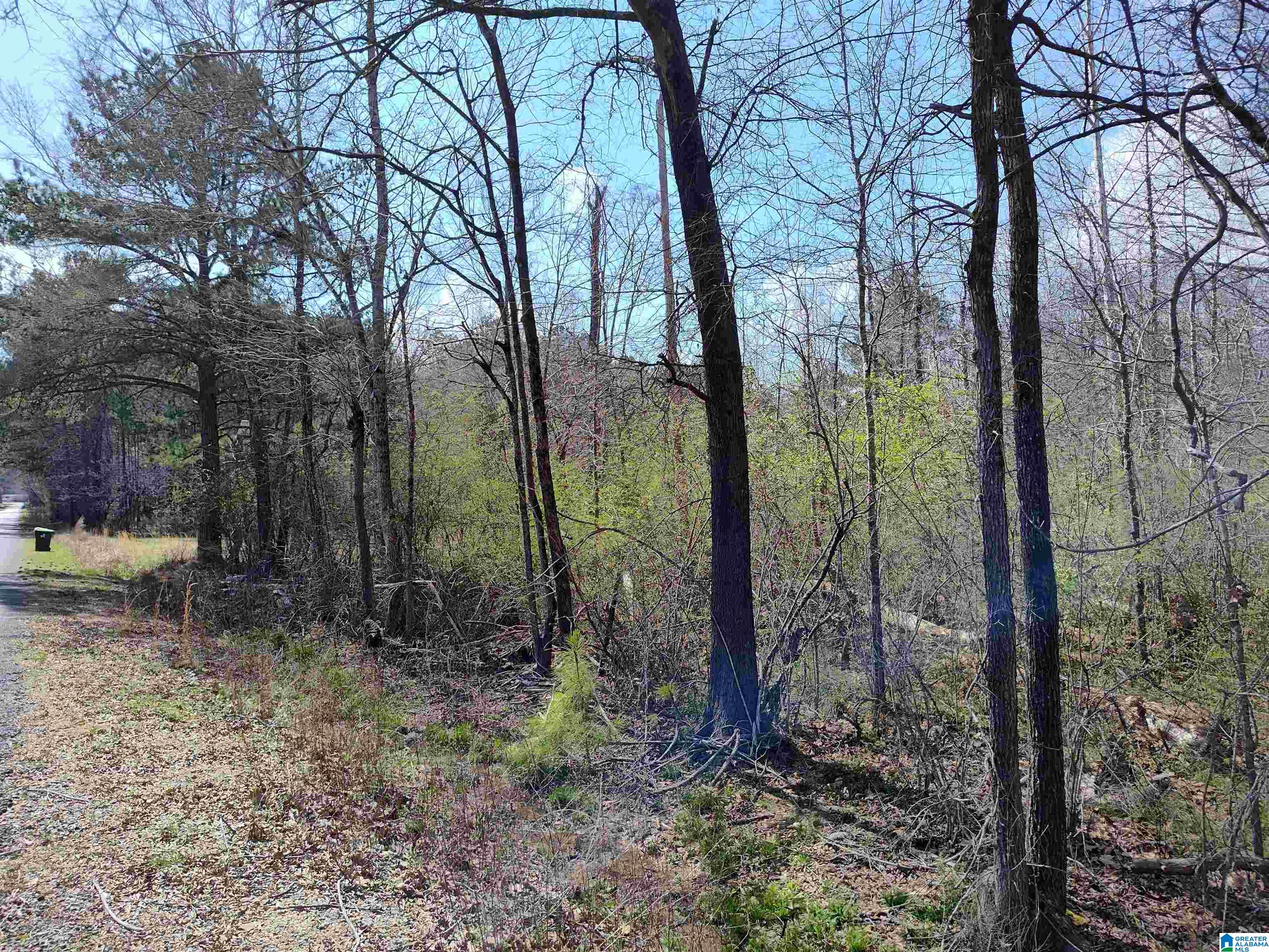 0 Meadow Circle Sylacauga, AL 35150 - Photo 6 of 6