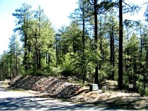 42 High Valley Ranch Road Prescott, AZ 86303 - Photo 3 of 3 Additional Photo