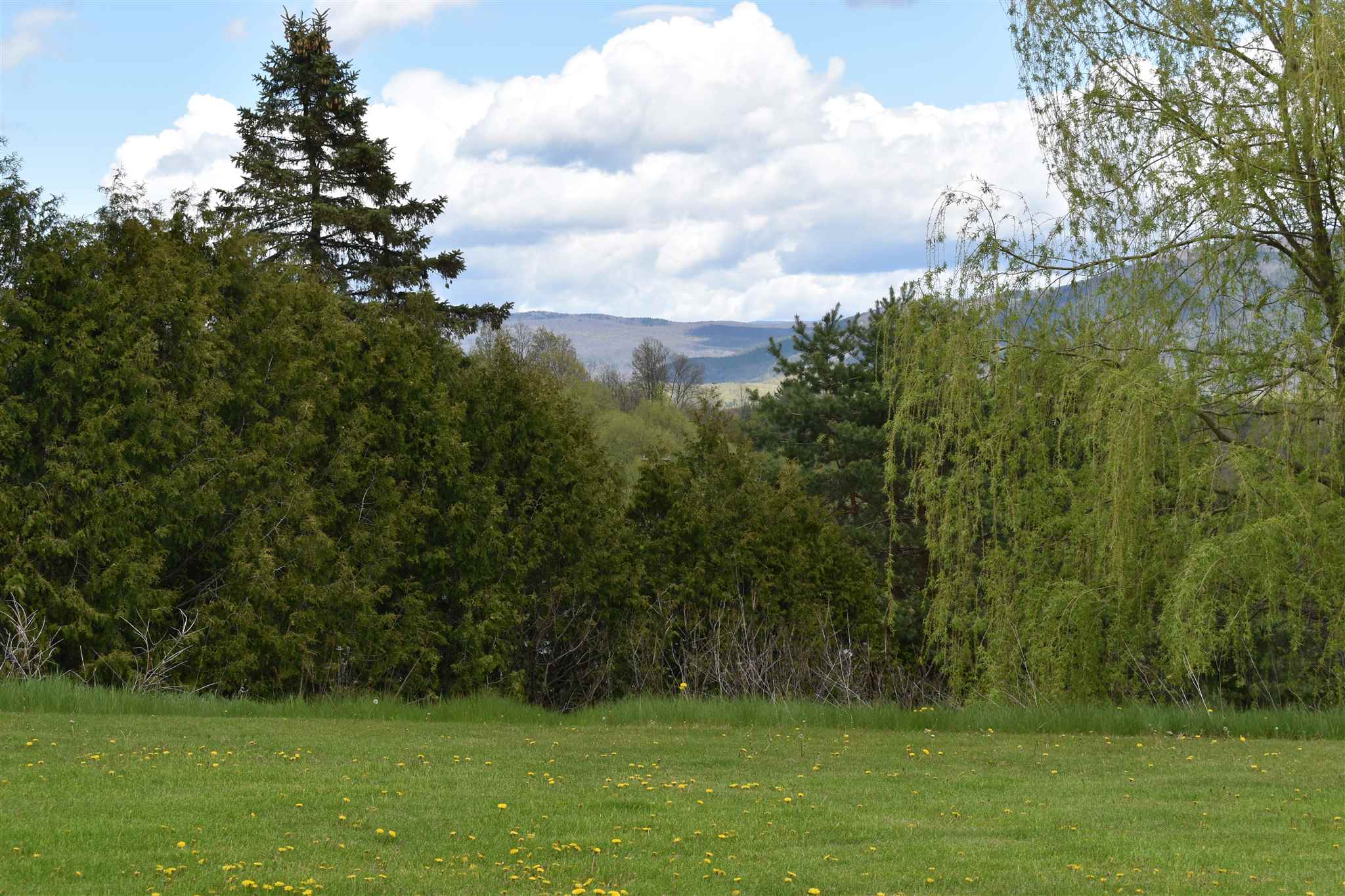 999 Happy Valley Road Middlebury, VT 05753 - Photo 3 of 36