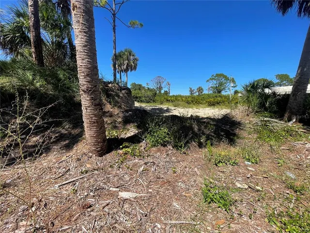 a view of a yard with plants and trees