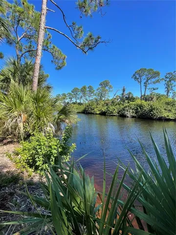 a view of a yard with plants and large trees