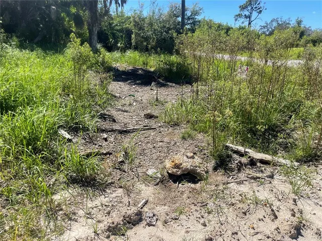a view of a garden with a lake